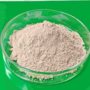 polvere di zirconia